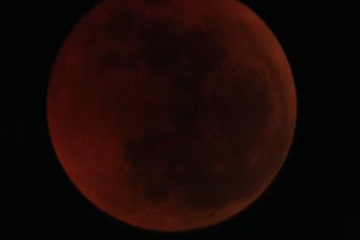 img_8266.jpg